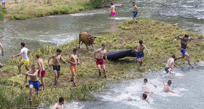 Las Vacas por el Tajo regresarán a la ribera trillana el próximo sábado 18 de junio 1 Las Vacas por el Tajo regresarán a la ribera trillana el próximo sábado 18 de junio