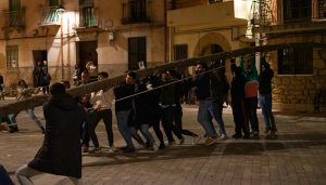 Los mozos y mozas de Trillo consiguen erigir un hermoso ejemplar de chopo en medio de la plaza Mayor