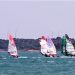 Más de 30 regatistas se dan cita en Alarcón para participar en la primera prueba del campeonato autonómico de vela de Castilla-La Mancha en la modalidad de Windsurf-Slalom 3 Más de 30 regatistas se dan cita en Alarcón para participar en la primera prueba del campeonato autonómico de vela de Castilla-La Mancha en la modalidad de Windsurf-Slalom