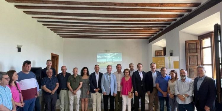 Castilla-La Mancha pagará 11 millones de euros en ayudas a 1.100 olivicultores afectados por el temporal Filomena