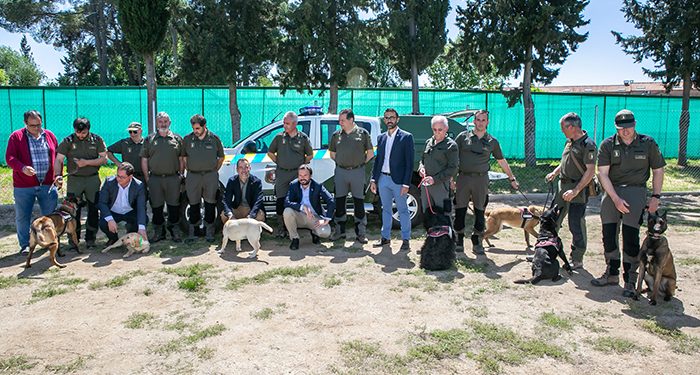 Perros contra el uso ilegal del veneno en el medio natural