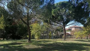 Villanueva de la Torre organiza un taller familiar para construir casas de pájaros