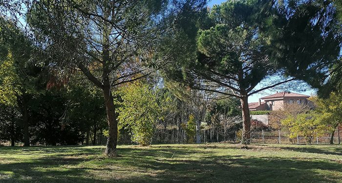 Villanueva de la Torre organiza un taller familiar para construir casas de pájaros