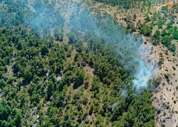 Alcantud vuelve a arder siete medios y 29 personas luchan contra un incendio