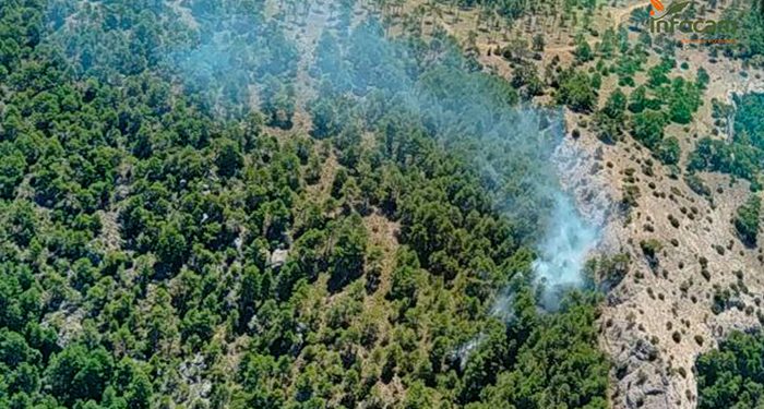 Alcantud vuelve a arder siete medios y 29 personas luchan contra un incendio