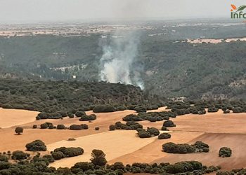 Aumentan los efectivos a siete medios y 30 personas para tratar de controlar un incendio en Valfermoso de Tajuña