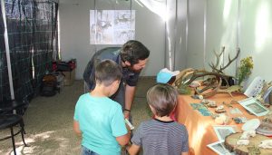 Cerca de 2.500 personas apuestan por el futuro sostenible de la Manchuela en la II edición de La Feria del Clima