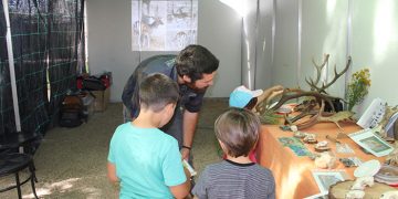 Cerca de 2.500 personas apuestan por el futuro sostenible de la Manchuela en la II edición de La Feria del Clima