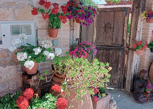 Cogolludo recupera su concurso de fachadas florales 1 Cogolludo recupera su concurso de fachadas florales