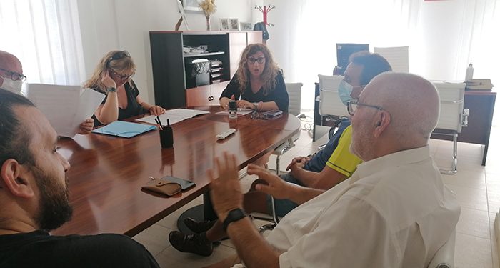 El Ayuntamiento de Villanueva de la Torre ya tiene quien se encargue de las colonias de gatos callejeros 1 El Ayuntamiento de Villanueva de la Torre ya tiene quien se encargue de las colonias de gatos callejeros