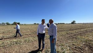 El Gobierno regional firmará cuatro convenios a la vuelta del verano para ahorrar energía en el riego “allí donde la agricultura es más rentable”