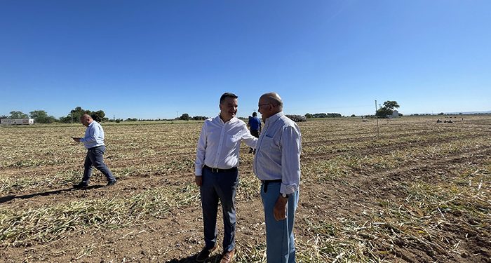 El Gobierno regional firmará cuatro convenios a la vuelta del verano para ahorrar energía en el riego “allí donde la agricultura es más rentable”