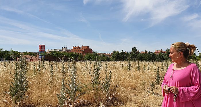 El PP de Azuqueca alerta del peligro de los solares invadidos de maleza y exige al Gobierno municipal que tome medidas urgentes para su limpieza