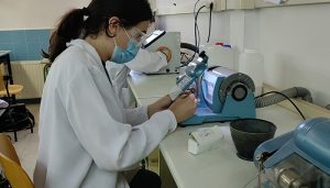 Formación Profesional