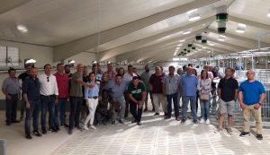 Greenpork pone en marcha su primera granja de madres en Belinchón