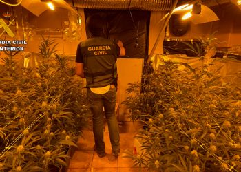 La Guardia Civil desmantela una plantación de marihuana “indoor” en El Cubillo de Uceda