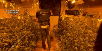 La Guardia Civil desmantela una plantación de marihuana “indoor” en El Cubillo de Uceda