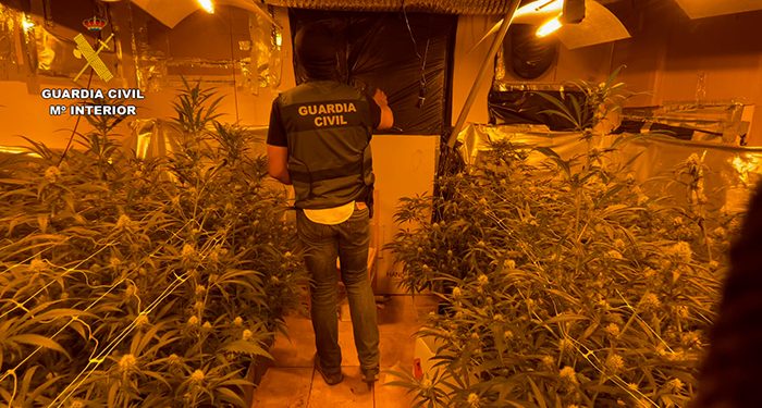 La Guardia Civil desmantela una plantación de marihuana “indoor” en El Cubillo de Uceda