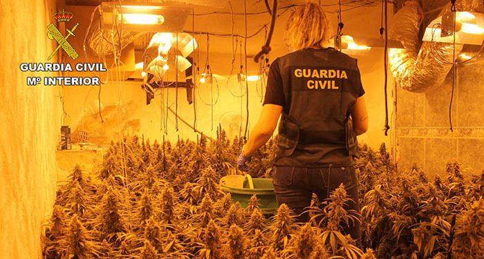 La Guardia Civil desmantela una plantación “indoor” de marihuana en Torrejón del Rey 1 La Guardia Civil desmantela una plantación “indoor” de marihuana en Torrejón del Rey