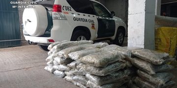 La Guardia Civil detiene a una persona en Cogolludo por tráfico de drogas