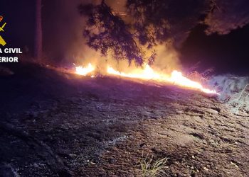 La Guardia Civil investiga a cuatro personas por un incendio forestal el pasado mes de abril en Olmedilla de Alarcón