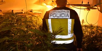 La Policía Nacional lleva a cabo, en un solo día, tres operaciones contra el cultivo ilegal de marihuana en Guadalajara