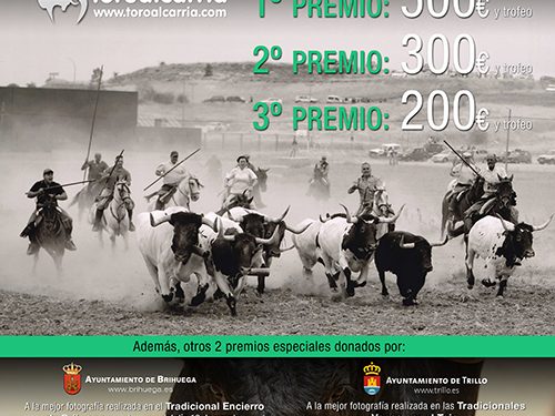 ToroAlcarria convoca su 15º Concurso de Fotografía Taurina en la víspera de las Vacas por el Tajo 1 ToroAlcarria convoca su 15º Concurso de Fotografía Taurina en la víspera de las Vacas por el Tajo