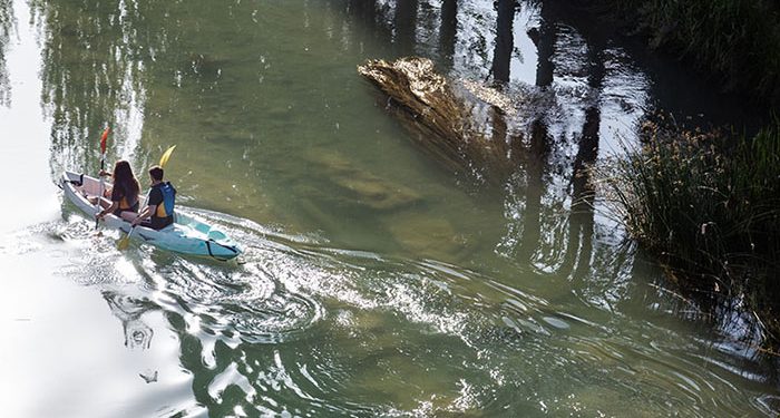 Trillo recupera sus veranos prepandemia con más de 50 actividades en julio y agosto