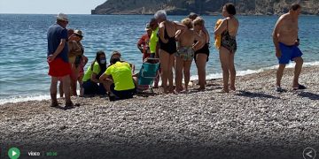 Un jabalí sale del mar en Alicante y muerde a una mujer de Cuenca que estaba tomando el sol