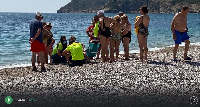Un jabalí sale del mar en Alicante y muerde a una mujer de Cuenca que estaba tomando el sol