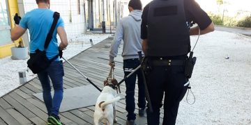 Un perro peligroso se escapa de su casa en Guadalajara e impide salir a los vecinos de los portales