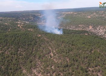 Vuelven los incendios a Cuenca arden la Herrería de Santa Cristina y Castejón