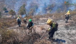 Los trabajos realizados durante la noche permiten estabilizar el incendio forestal de Valdepeñas de la Sierra, que baja a nivel 0