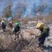 Los trabajos realizados durante la noche permiten estabilizar el incendio forestal de Valdepeñas de la Sierra, que baja a nivel 0