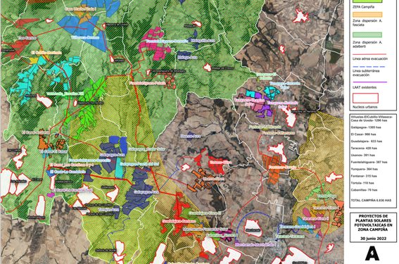 ALIENTE en Guadalajara alerta sobre el “descomunal” aumento de megaplantas fotovoltaicas en los dos últimos meses 1 ALIENTE en Guadalajara alerta sobre el “descomunal” aumento de megaplantas fotovoltaicas en los dos últimos meses