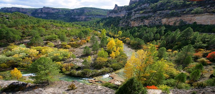 Agenda Urbana en Territorios Rurales: el caso de éxito del Alto Tajo 1 Alto Tajo