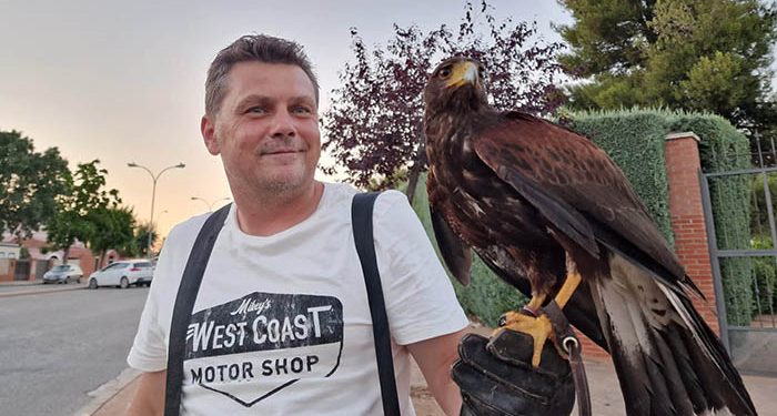 Cabanillas intensifica los vuelos con águila y halcón para combatir a las palomas 1 Cabanillas intensifica los vuelos con águila y halcón para combatir a las palomas