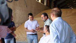 Castilla-La Mancha insta a que se decida “cuanto antes” poder sembrar el barbecho en el próximo otoño para incrementar las hectáreas de cereal