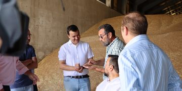 Castilla-La Mancha insta a que se decida “cuanto antes” poder sembrar el barbecho en el próximo otoño para incrementar las hectáreas de cereal