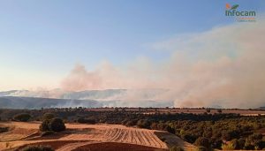 Controlado el incendio de Valdepeñas de la Sierra