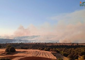Controlado el incendio de Valdepeñas de la Sierra 4 Controlado el incendio de Valdepeñas de la Sierra