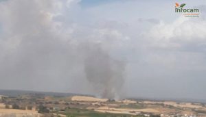 Controlado el incendio forestal declarado en Altarejos