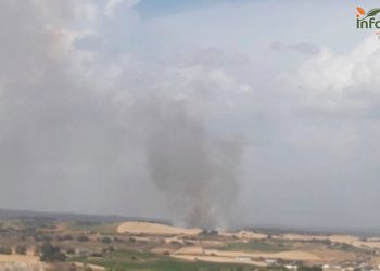 Controlado el incendio forestal declarado en Altarejos