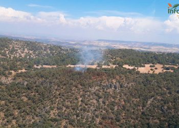 Controlado un incendio en el pantano de Buendía