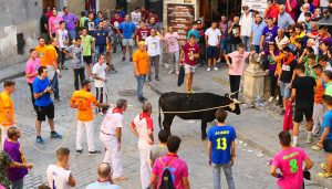 Cuenca en Marcha propone evitar el sacrificio de la vaca y una mayor protección del Casco Antiguo en la Ordenanza de San Mateo