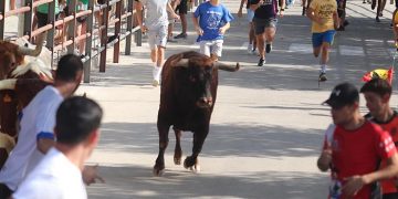 Dos barriopedros y el peñajara dieron un entretenido último encierro de Fiestas en Cabanillas