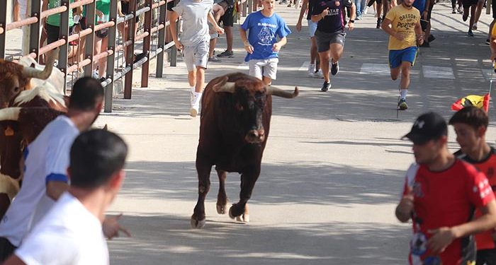 Dos barriopedros y el peñajara dieron un entretenido último encierro de Fiestas en Cabanillas 1 Dos barriopedros y el peñajara dieron un entretenido último encierro de Fiestas en Cabanillas