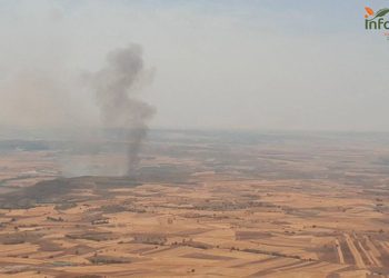 Driebes vuelve a arder cinco medios y 23 personas luchan por controlar un incendio en matorral