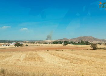 Desalojado el pueblo de Espinosa de Henares por el incendio de Humanes 8 El incendio de Humanes pasa a nivel 1