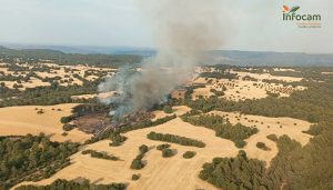 Fuego en la Ermita Virgen del Saz de Alhóndiga